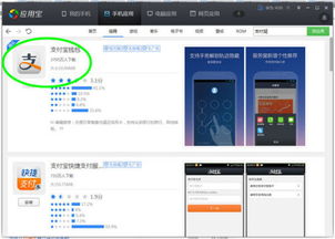 支付寶軟件無法打開？顯示“無法啟動(dòng)該應(yīng)用”的常見原因與解決指南